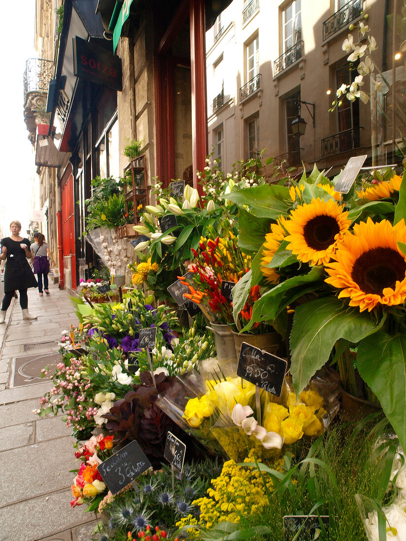 Flower shop on pavement at Ile Saint-Louis in Paris, France