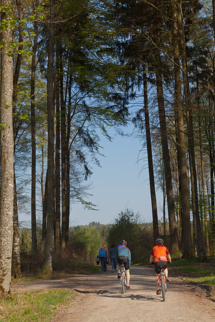 People riding bicycles in western woods perennials at Augsburg, Swabia, Bavaria, Germany