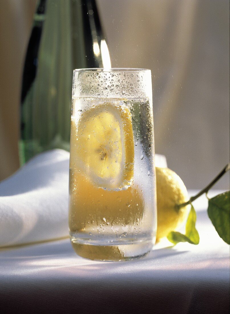 Glass of Sparkling Water with Floating Lemon Slice