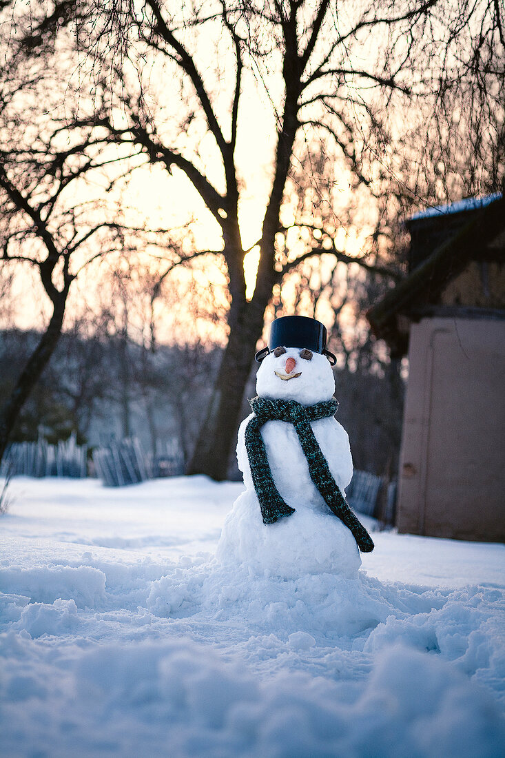 Suppen, Schneemann mit Schal und Hut, Abenddämmerung