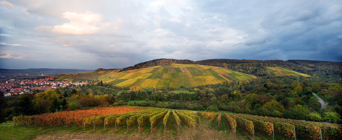 View of winery at Kernen-Stetten, Weingut Beurer, Rems