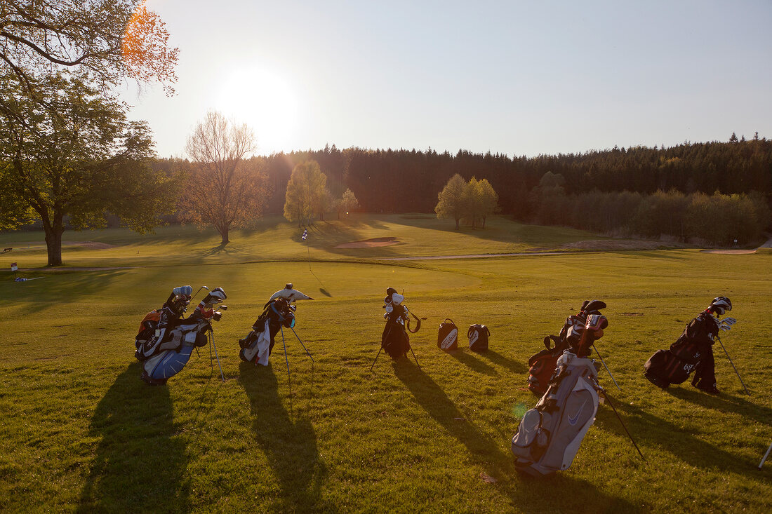 Golf bags with club in western woods, Swabia, Augsburg, Bavaria, Germany