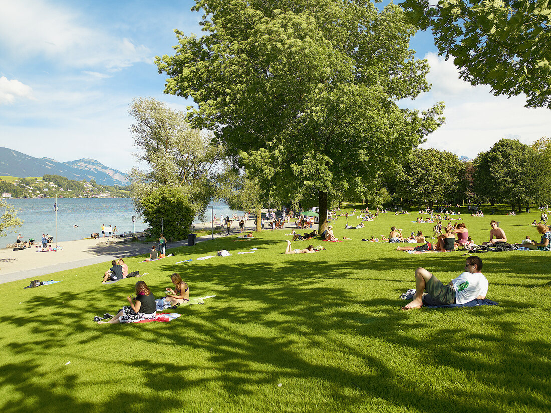 Schweiz, Luzern, Vierwaldstättersee, Ufschötti, Alpen, Wiese, Menschen