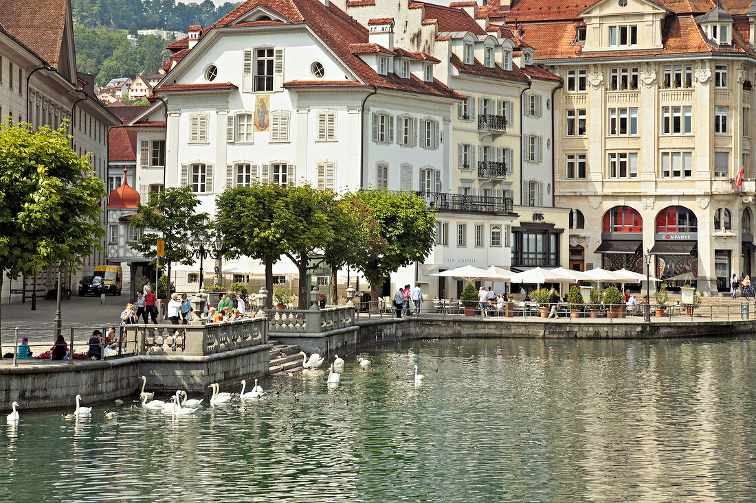 Schweiz, Luzern, Vierwaldstättersee, Reuss, Ufer, Schwäne, Touristen