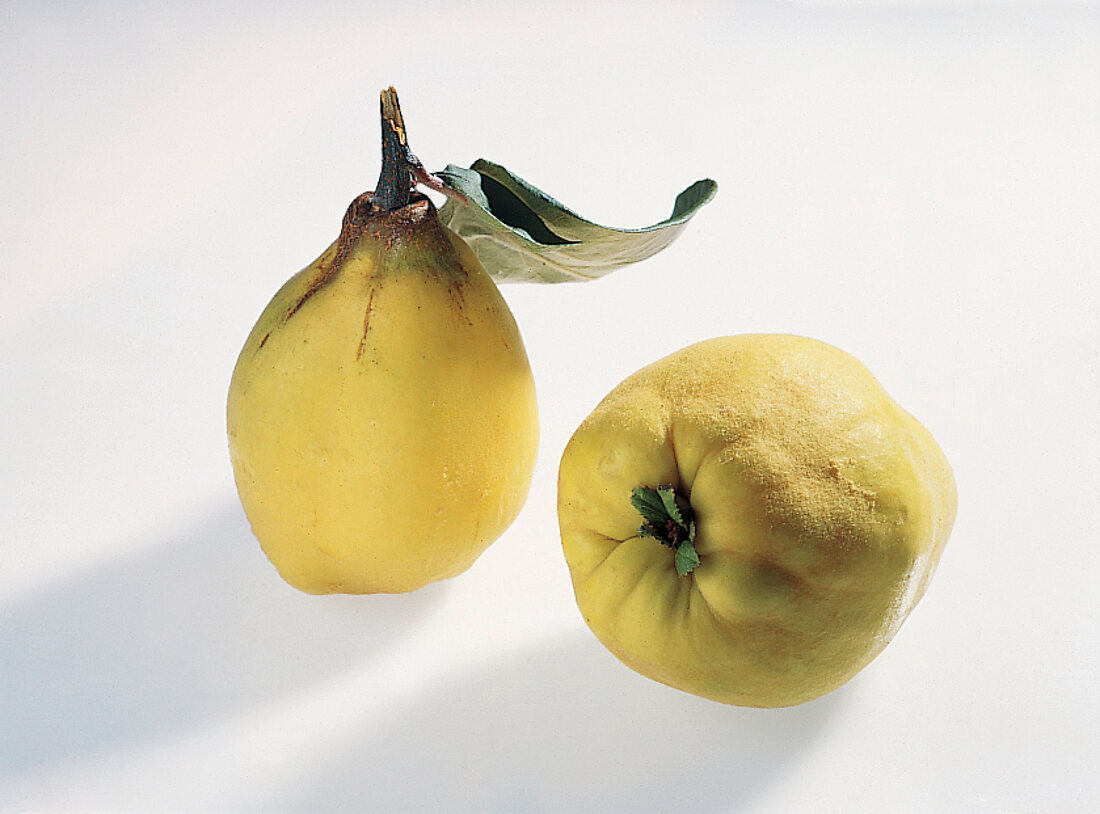 Close-up of two pear quince on white background
