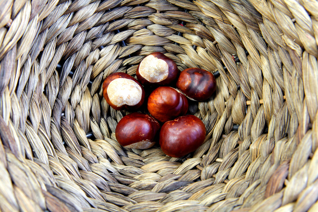 Chestnuts in wicker basket on white background, overhead view