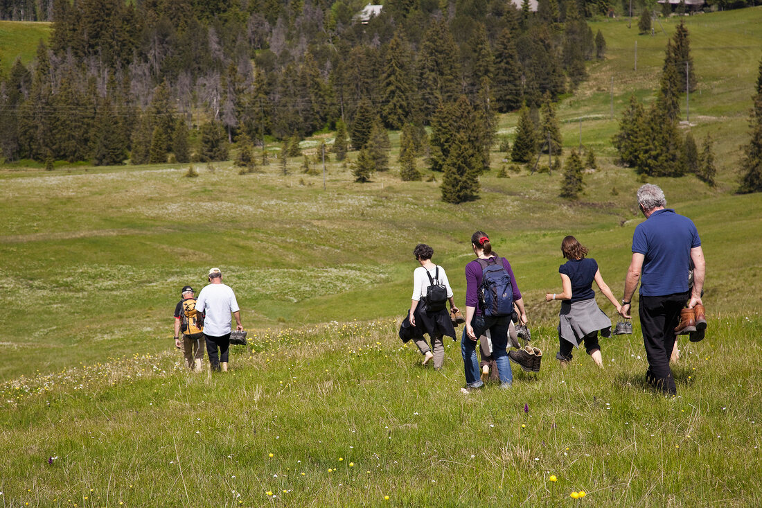 Hiking group walking in meadow, Entlebuch, Lucerne, Switzerland