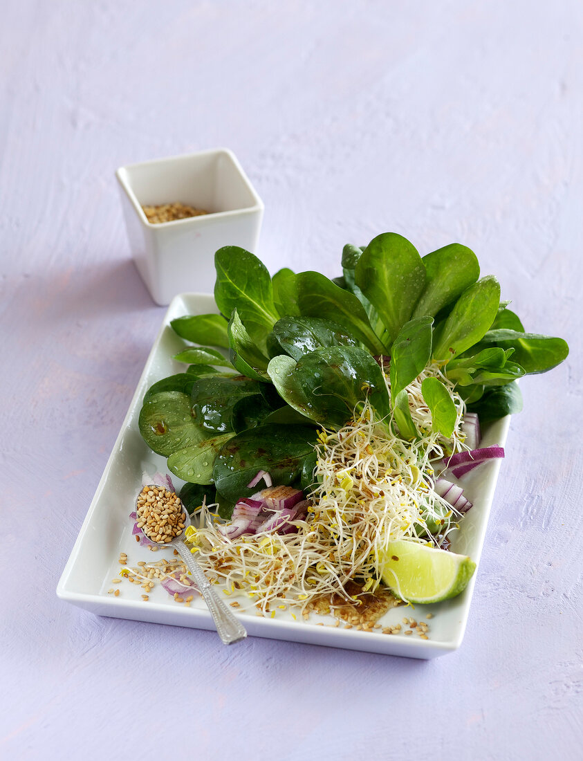 Corn salad with sprouts on plate
