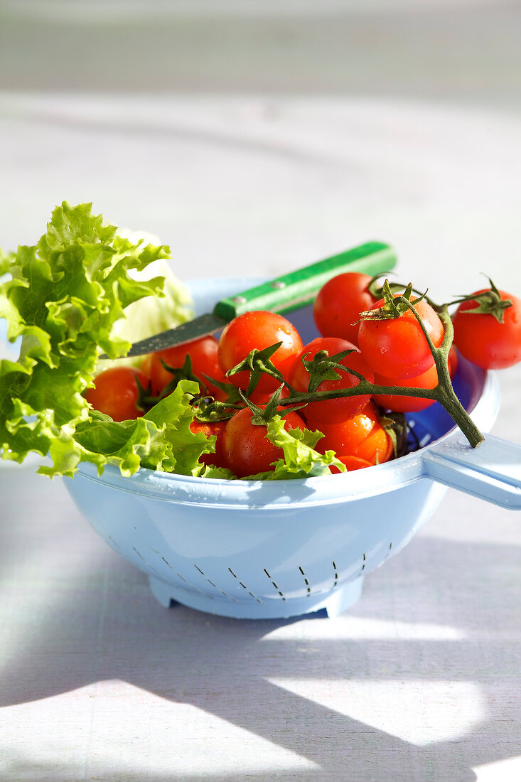 Fresh cherry tomatoes and lettuce in colander