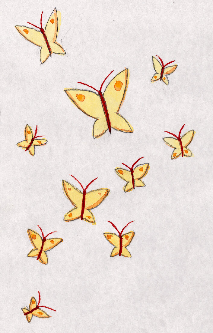 Illustration, Schmetterlinge