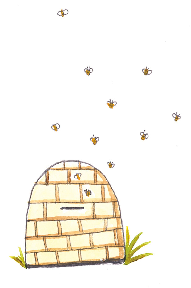 Illustration, Bienenkorb