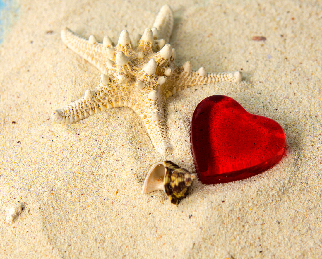 Close-up of heart shaped stone and shell in sand