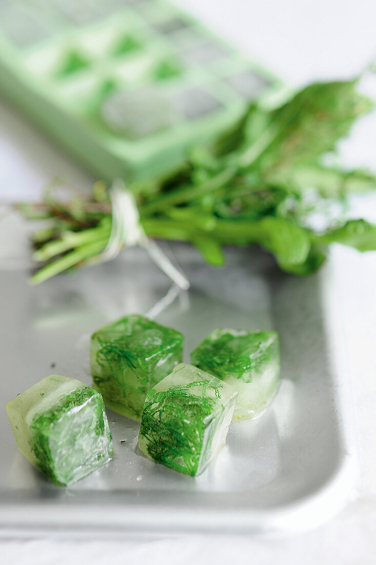 Close-up of cubes of herbs