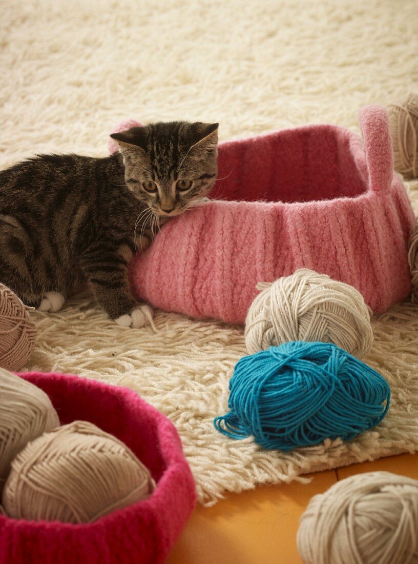 A striped cat next to a pink knitted basket and various different coloured balls of wool on a flocked rug