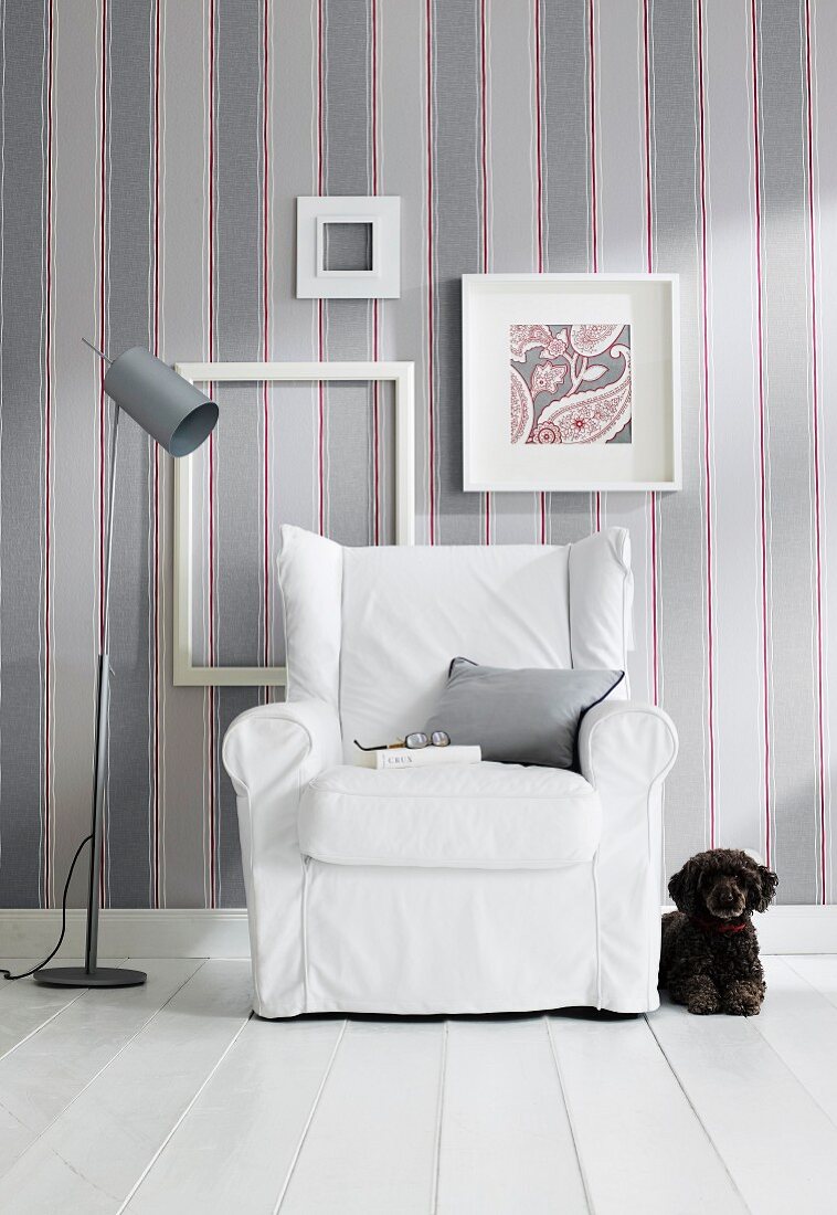 Dog lying next to armchair with white loose cover against striped wallpaper with picture frames