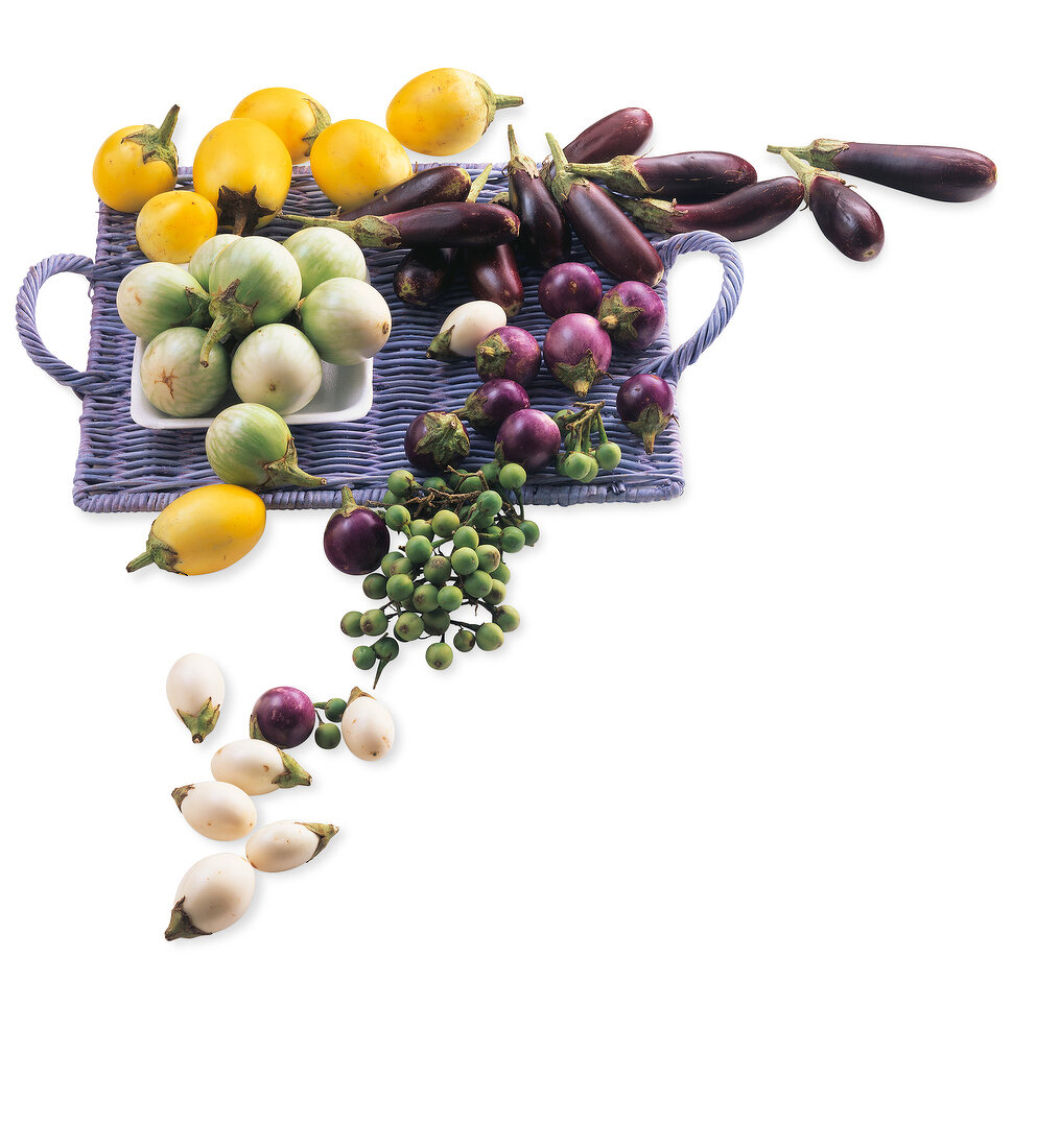 Different varieties of eggplant in tray