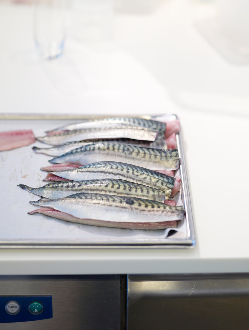 KDM, Makrelenfilets werden in Salzwa sser mariniert