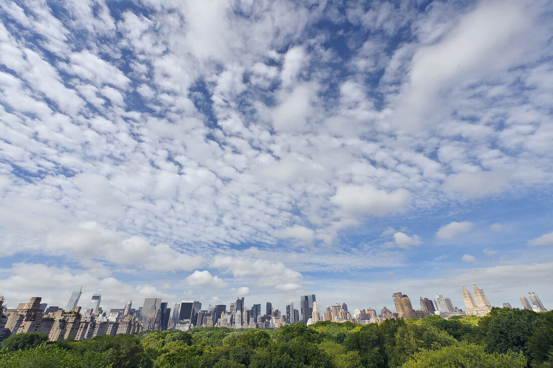 View of park and skyline from Metropolitan Museum of Art, New York, USA