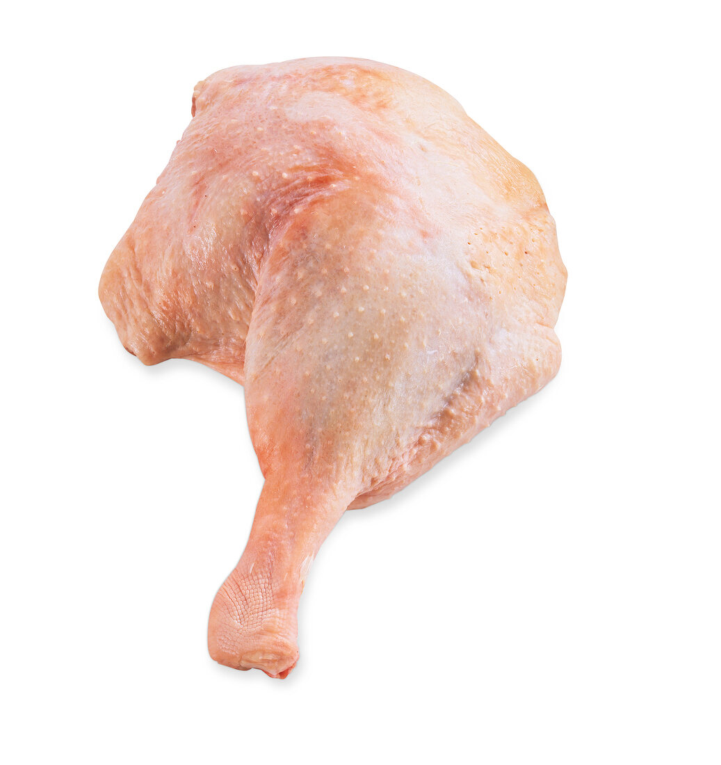 Raw goose leg on white background