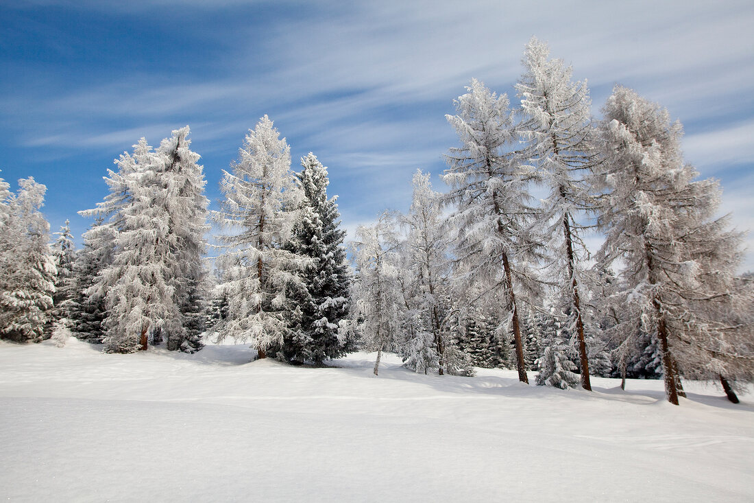 Winterlandschaft, Leutaschtal