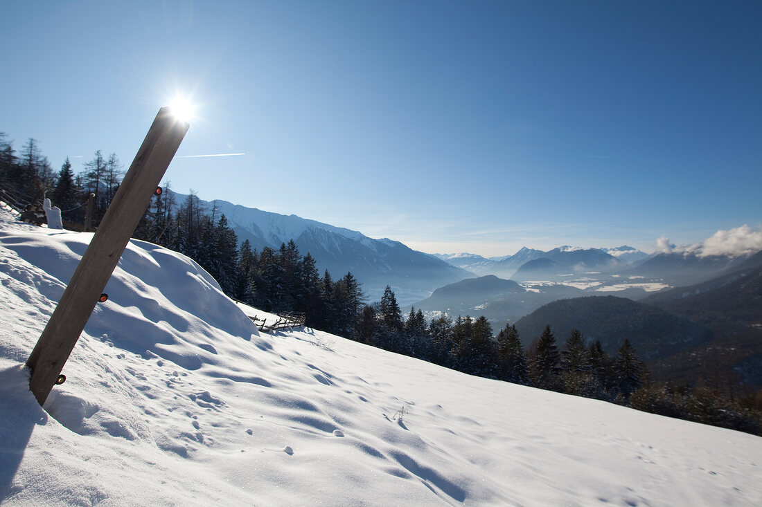 View of pine trees covered with snow in Leutaschtal, Tirol, Austria