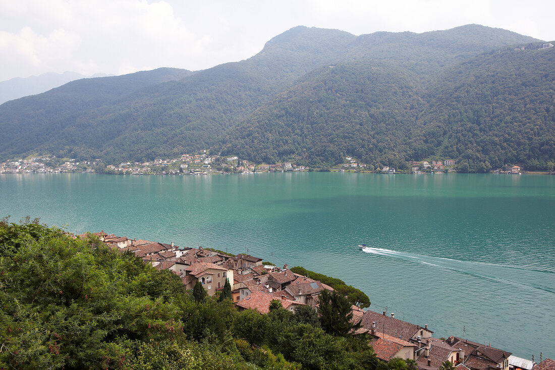 Blick auf Morcote mit dem Lago Maggiore, Tessin, Schweiz
