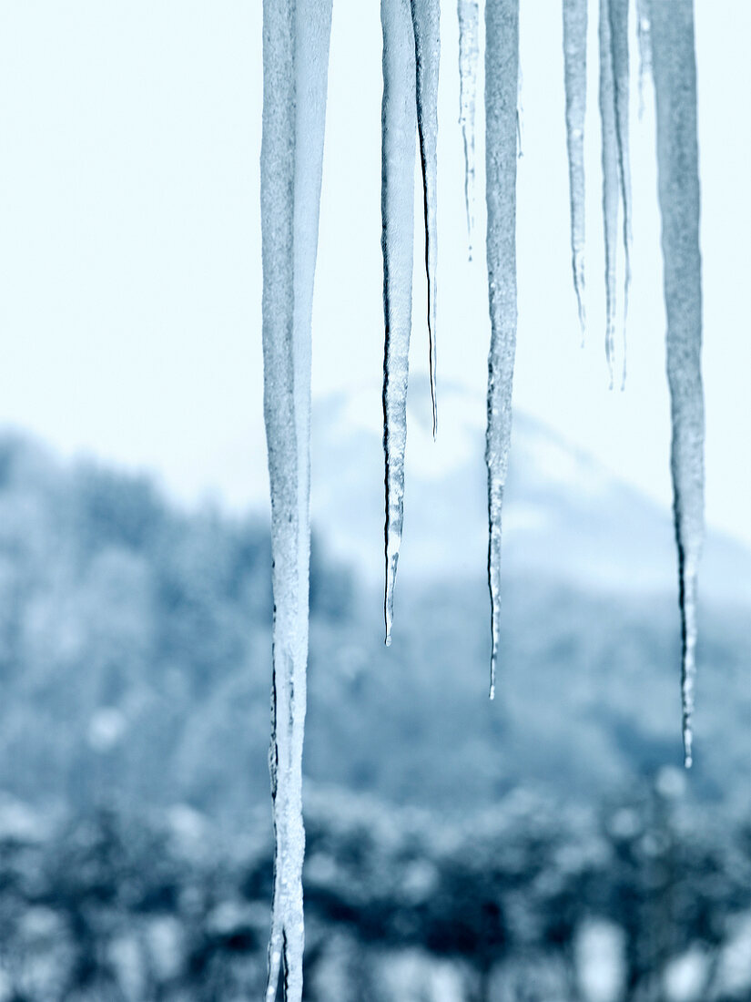 Winterküche, Eiszapfen, Winter