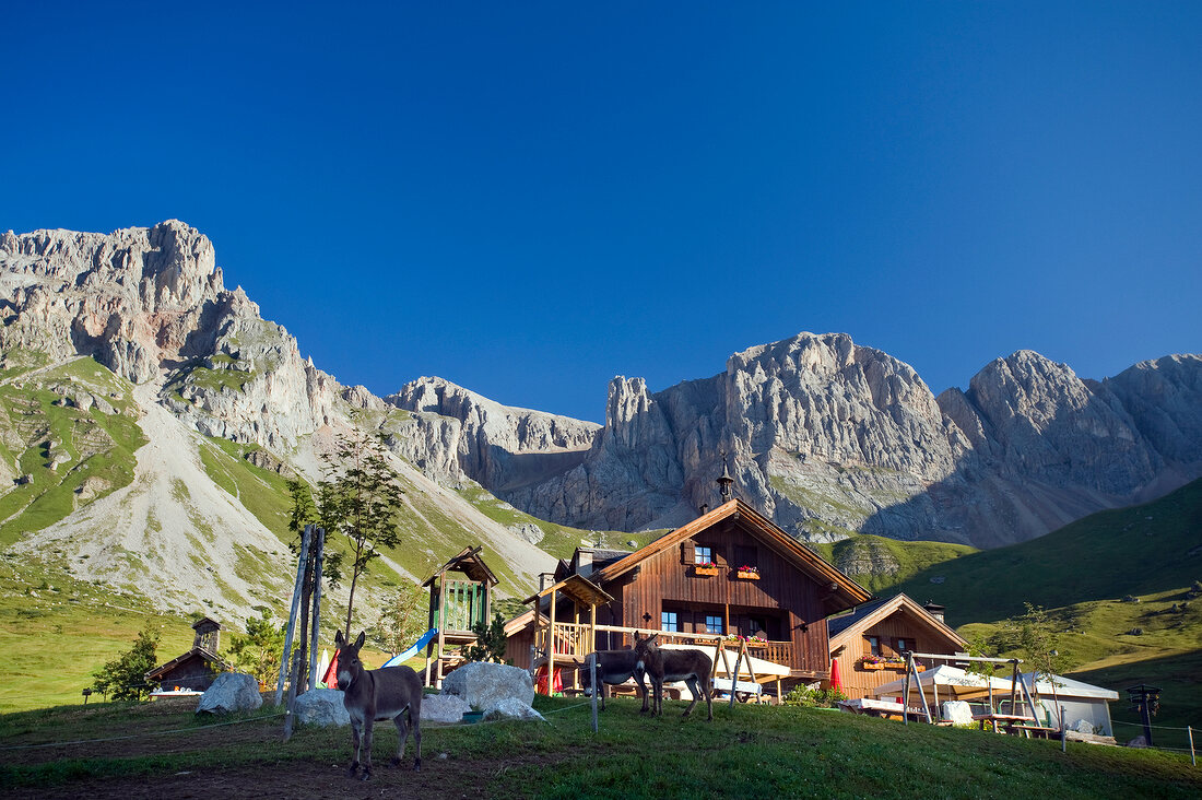 View of Hut village Rifugio Fuciade, donkeys in pasture and mountains, Trentino