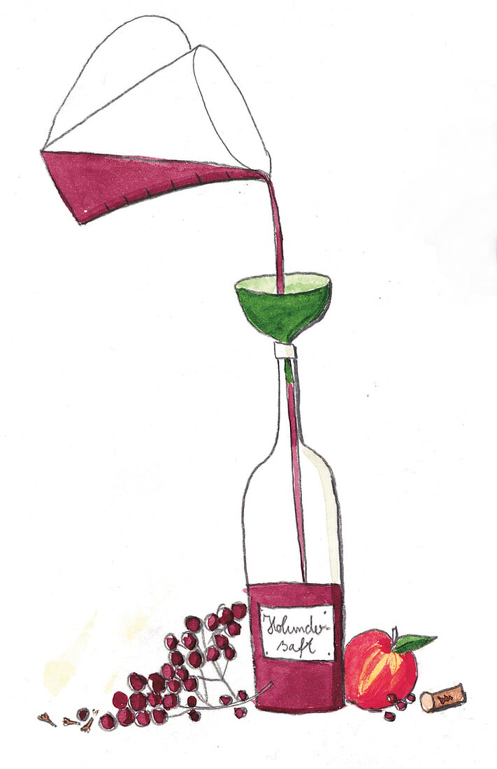 Holundersaft, Illustration 