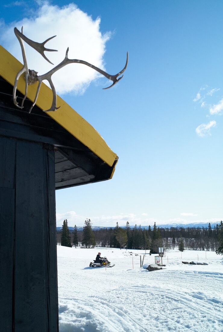 Antlers on the roof of Hemsedal ski resort, Low angel view, Norway