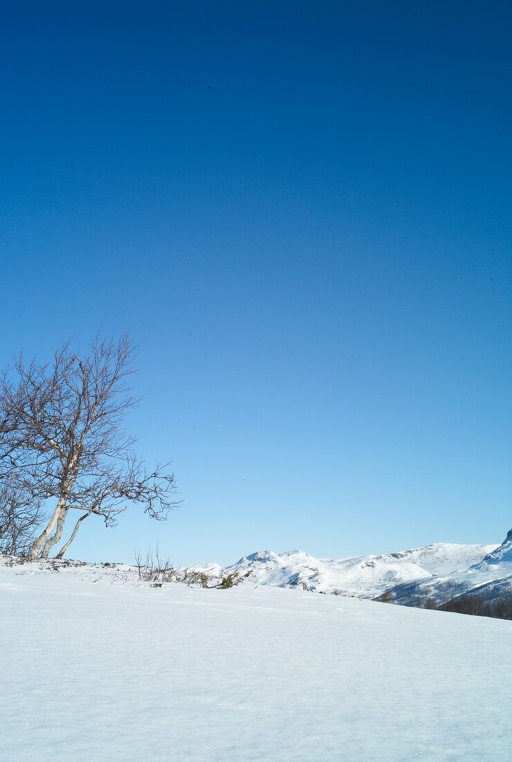 Hemsedal, Skigebiet in Norwegen Winterlandschaft