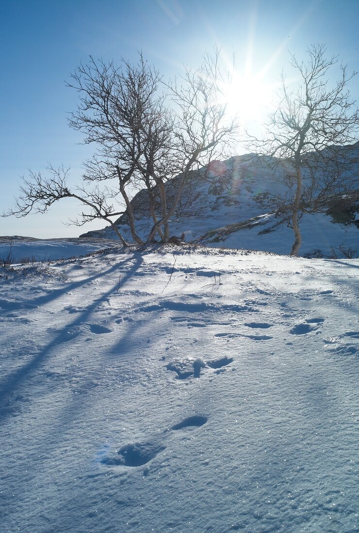 Hemsedal, Skigebiet in Norwegen Winterlandschaft