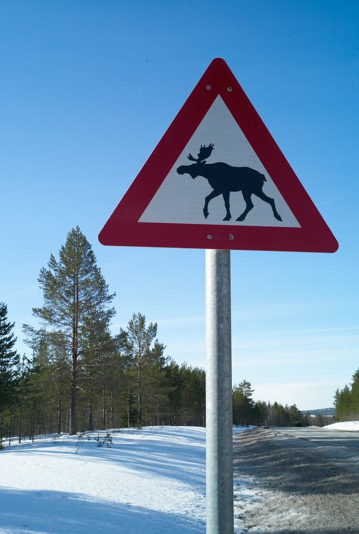 Trysil, Skigebiet in Norwegen, Warnschild vor Elchen