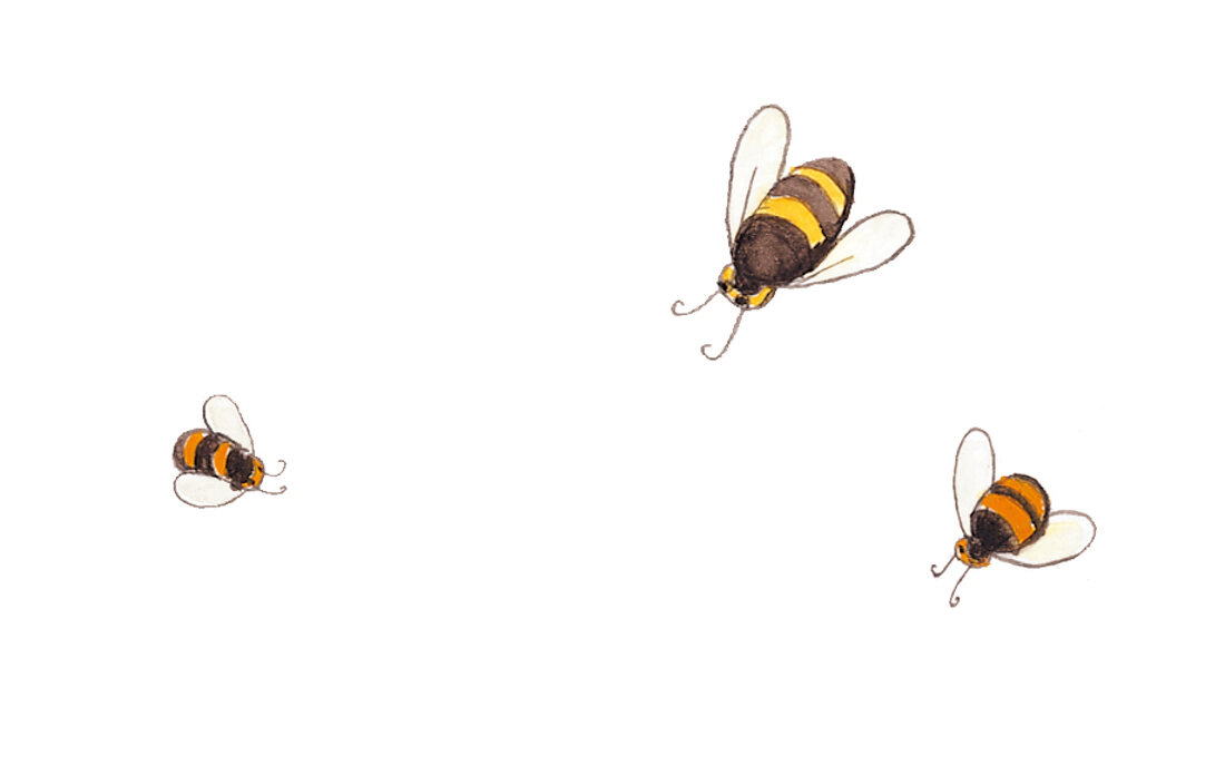 Bienen, Illustration 