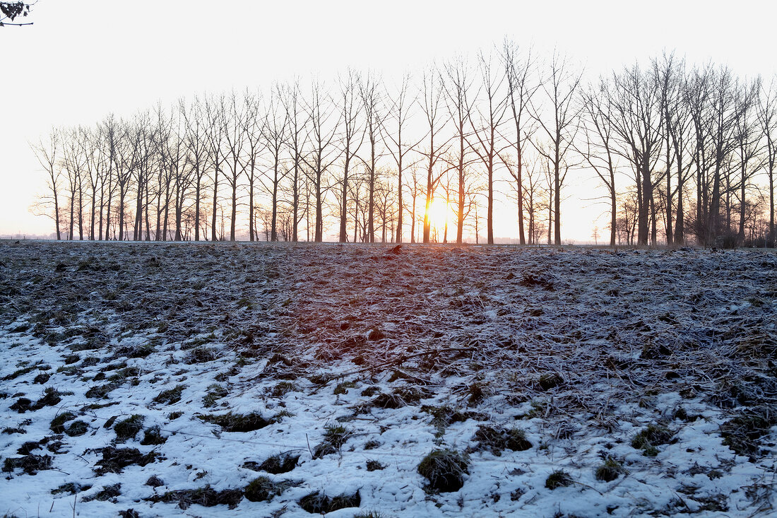 Landschaft, Schneelandschaft, Sonnenuntergang, Sonnenaufgang