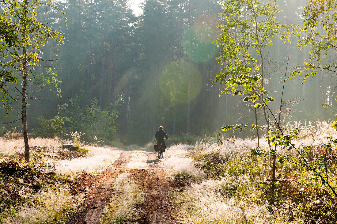 Cyclist riding bicycle at Warmia-Masuria near Mikolajki forest path in Poland