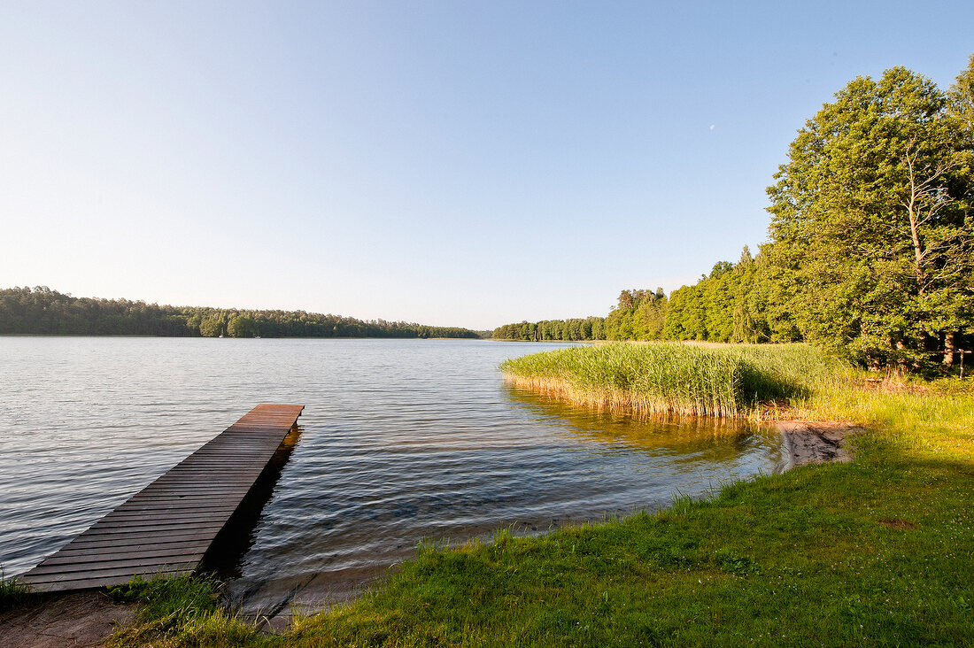 View of trees and lake in Mikolajki, Warmia-Masuria, Poland