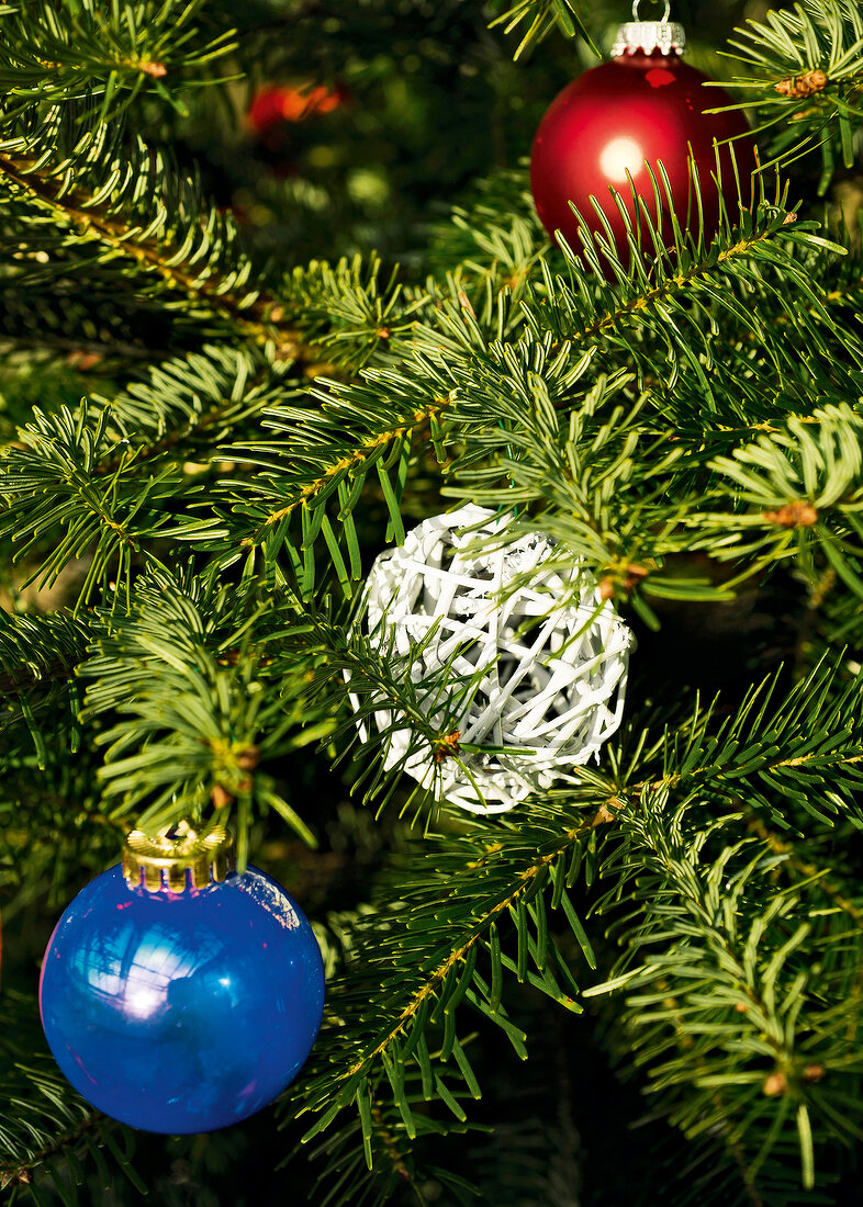 Close-up of Christmas tree decorated with baubles
