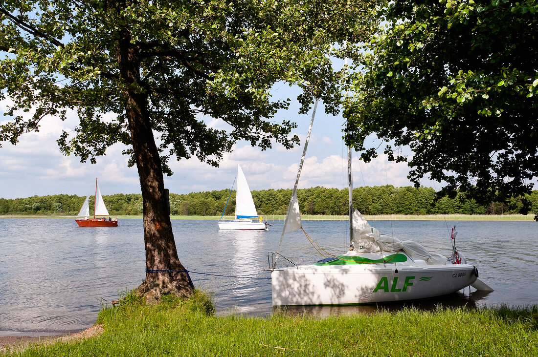 View of boat in lake in Mikolajki, Warmia-Masuria, Poland