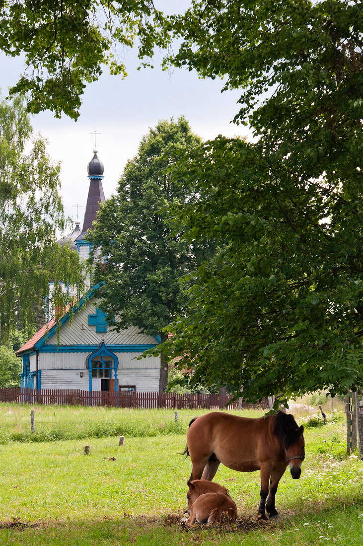 View of village Wojnowo in Warmia-Masuria Masuria near Mikolajki, Poland
