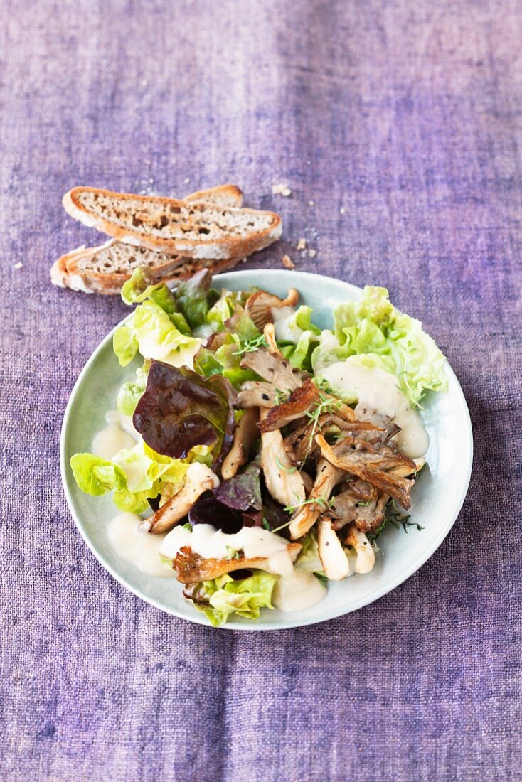 Oak leaf lettuce with oyster mushrooms