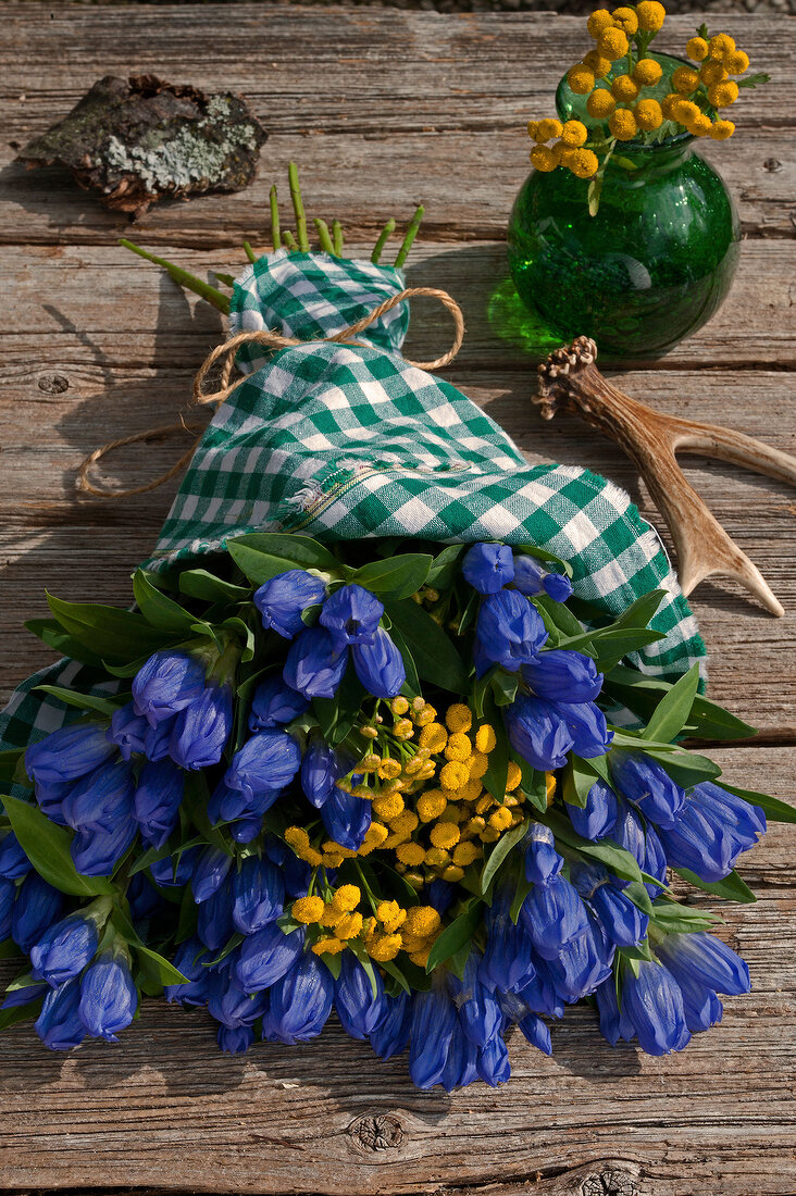 ein Blumenstrauß mit blauem Enzian und gelbem Rainfarn