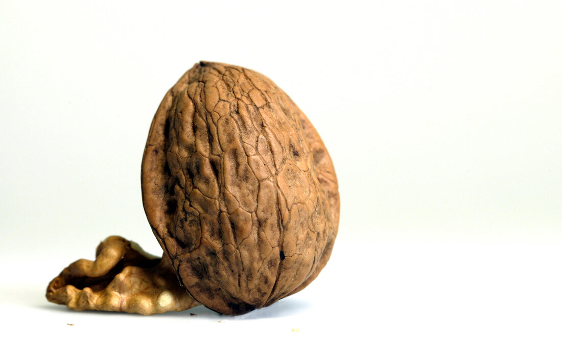 Close-up of walnut with shell on white background