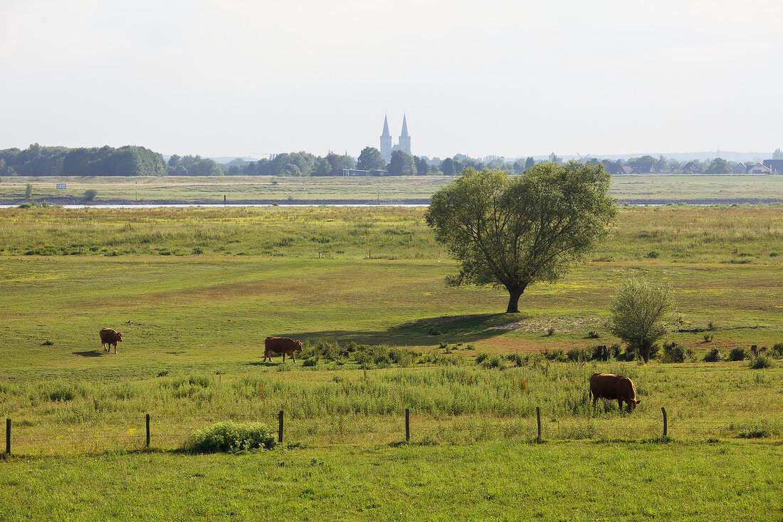 Rheinarm bei Wesel-Bislich, Kathedrale von Xanten, Niederrhein