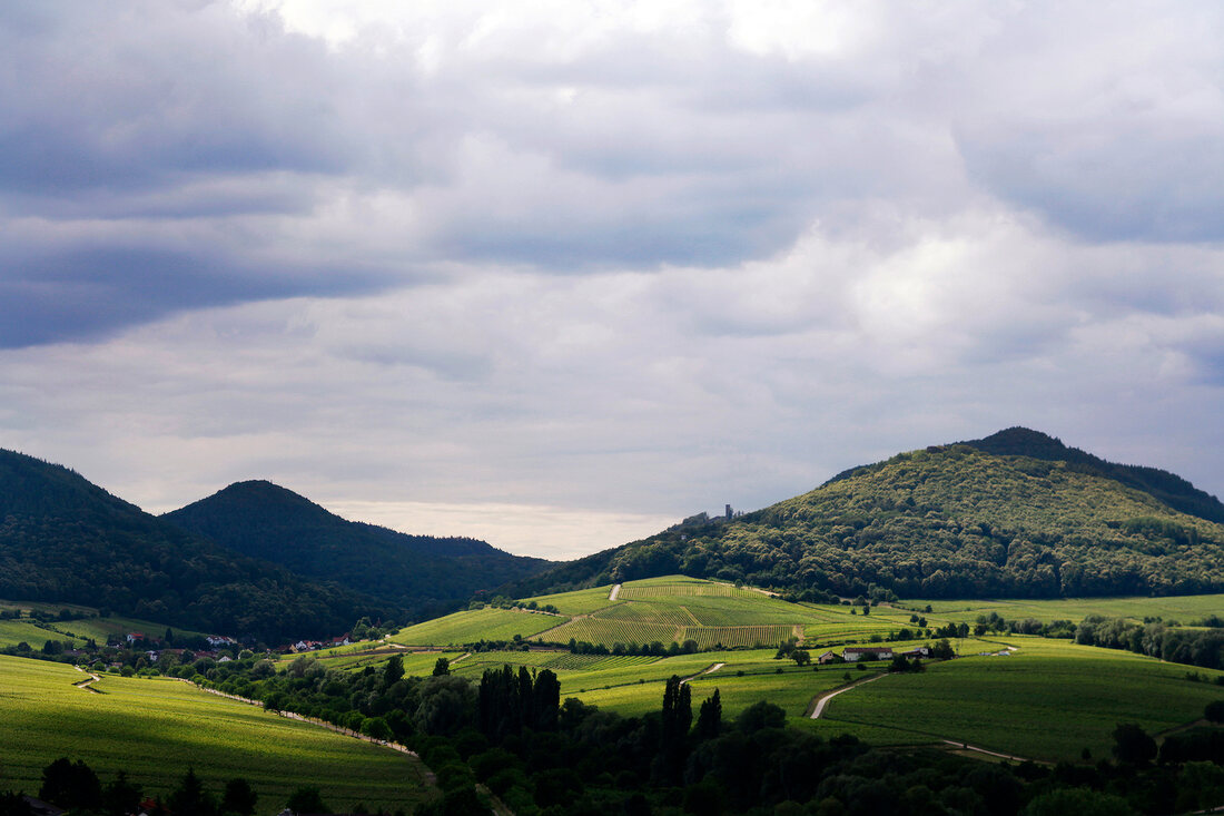 View of Birkweiler region in Palatinate, Germany
