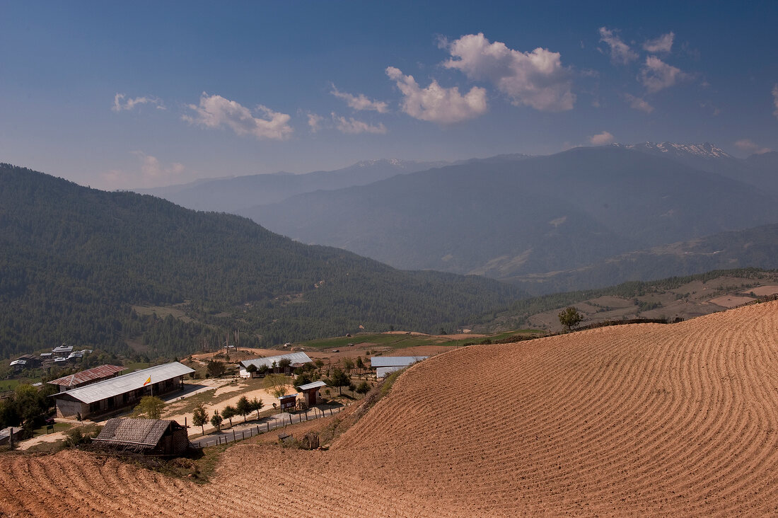 View of terrace field in Ura valley, Bhutan