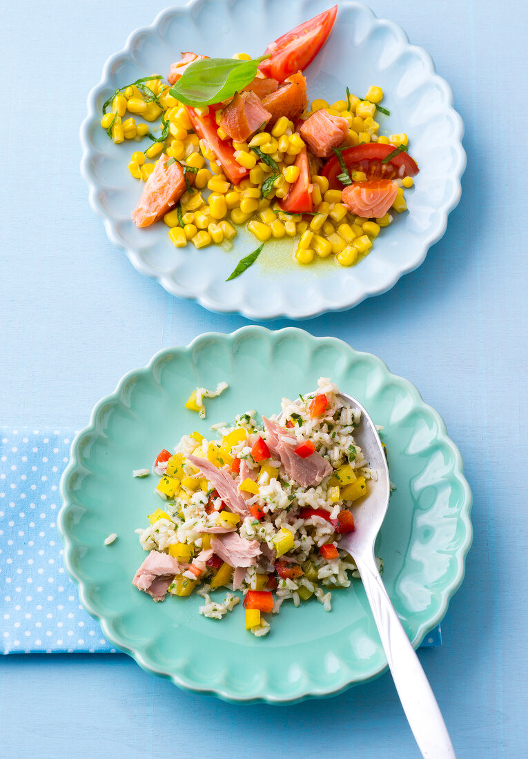 Two different fish salads on plates