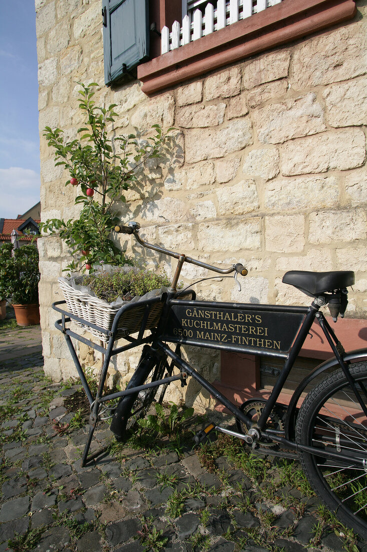 Gänsthaler's Kuchlmasterei Restaurant Mainz Mainz-Finthen