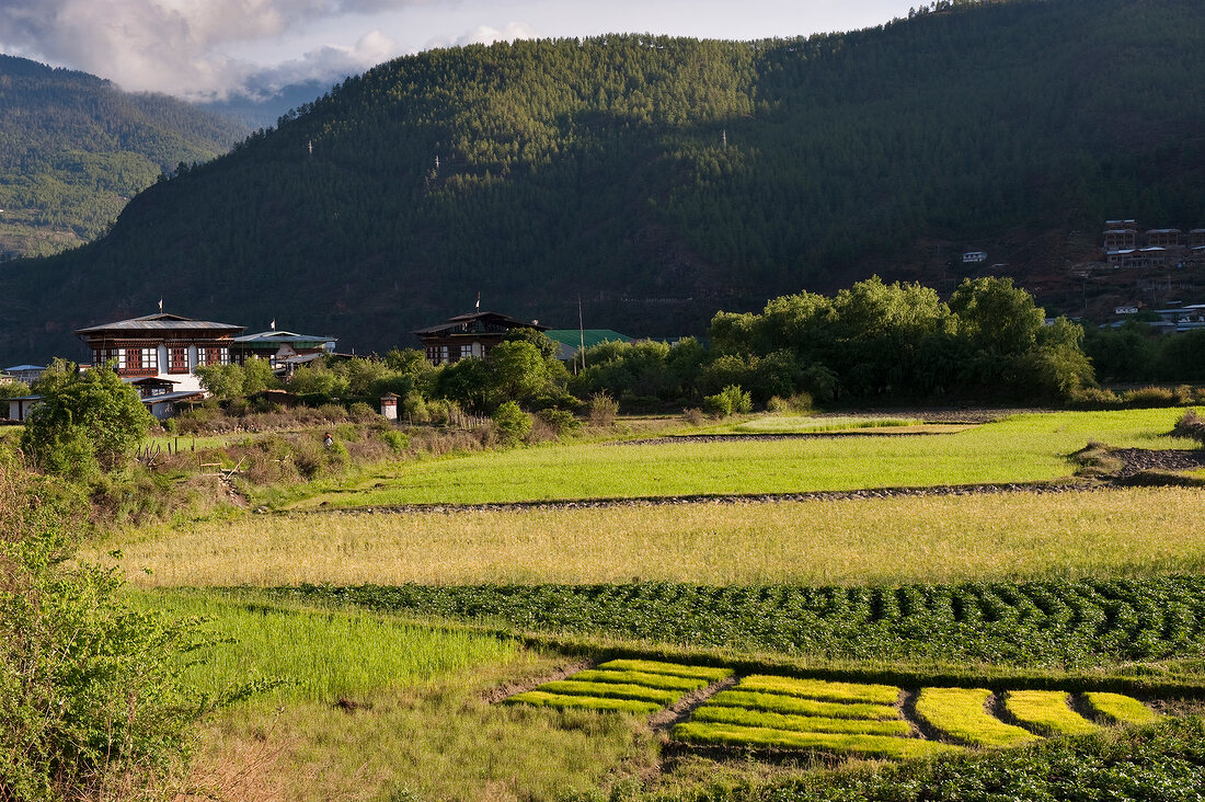 View of valley of Paro, Bhutan