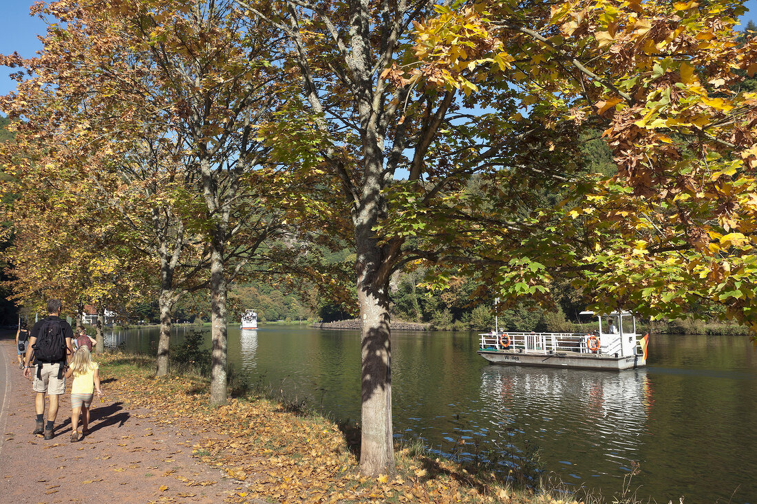 Saarland, Saar, Saarschleife, Mettlach, Herbstspaziergang, Fähre